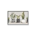 Picture of Plants and Flowers _GroupedProduct_Rectangle_Landscape_Canvas_Framed_