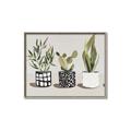 Picture of Plants and Flowers _GroupedProduct_Rectangle_Landscape_Canvas_Framed_