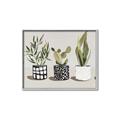Picture of Plants and Flowers _GroupedProduct_Rectangle_Landscape_Canvas_Framed_