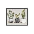 Picture of Plants and Flowers _GroupedProduct_Rectangle_Landscape_Canvas_Framed_