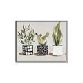 Picture of Plants and Flowers _GroupedProduct_Rectangle_Landscape_Canvas_Framed_