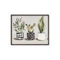 Picture of Plants and Flowers _GroupedProduct_Rectangle_Landscape_Canvas_Framed_