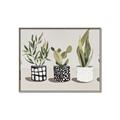 Picture of Plants and Flowers _GroupedProduct_Rectangle_Landscape_Canvas_Framed_