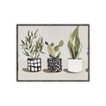 Picture of Plants and Flowers _GroupedProduct_Rectangle_Landscape_Canvas_Framed_