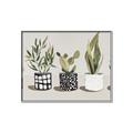 Picture of Plants and Flowers _GroupedProduct_Rectangle_Landscape_Canvas_Framed_