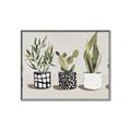 Picture of Plants and Flowers _GroupedProduct_Rectangle_Landscape_Canvas_Framed_