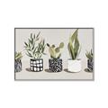 Picture of Plants and Flowers _GroupedProduct_Rectangle_Landscape_Canvas_Framed_