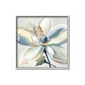 Picture of Single Bloom I _GroupedProduct_Square_Canvas_Framed_