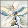 Picture of Single Bloom I _GroupedProduct_Square_Canvas_Framed_