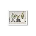 Picture of Plants and Flowers _GroupedProduct_Rectangle_Landscape_Framed_Matted_