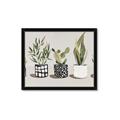 Picture of Plants and Flowers _GroupedProduct_Rectangle_Landscape_Framed_Matted_