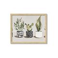 Picture of Plants and Flowers _GroupedProduct_Rectangle_Landscape_Framed_Matted_