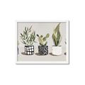 Picture of Plants and Flowers _GroupedProduct_Rectangle_Landscape_Framed_Matted_
