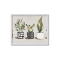 Picture of Plants and Flowers _GroupedProduct_Rectangle_Landscape_Framed_Matted_