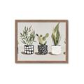 Picture of Plants and Flowers _GroupedProduct_Rectangle_Landscape_Framed_Matted_
