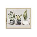 Picture of Plants and Flowers _GroupedProduct_Rectangle_Landscape_Framed_Matted_