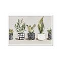 Picture of Plants and Flowers _GroupedProduct_Rectangle_Landscape_Framed_Matted_