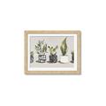 Picture of Plants and Flowers _GroupedProduct_Rectangle_Landscape_Framed_Matted_