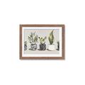 Picture of Plants and Flowers _GroupedProduct_Rectangle_Landscape_Framed_Matted_