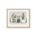 Picture of Plants and Flowers _GroupedProduct_Rectangle_Landscape_Framed_Matted_