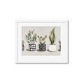 Picture of Plants and Flowers _GroupedProduct_Rectangle_Landscape_Framed_Matted_