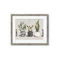 Picture of Plants and Flowers _GroupedProduct_Rectangle_Landscape_Framed_Matted_