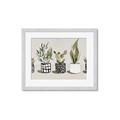 Picture of Plants and Flowers _GroupedProduct_Rectangle_Landscape_Framed_Matted_