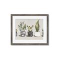 Picture of Plants and Flowers _GroupedProduct_Rectangle_Landscape_Framed_Matted_