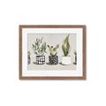 Picture of Plants and Flowers _GroupedProduct_Rectangle_Landscape_Framed_Matted_