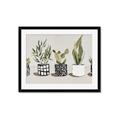 Picture of Plants and Flowers _GroupedProduct_Rectangle_Landscape_Framed_Matted_