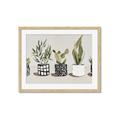 Picture of Plants and Flowers _GroupedProduct_Rectangle_Landscape_Framed_Matted_