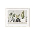 Picture of Plants and Flowers _GroupedProduct_Rectangle_Landscape_Framed_Matted_