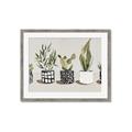 Picture of Plants and Flowers _GroupedProduct_Rectangle_Landscape_Framed_Matted_