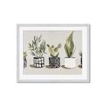 Picture of Plants and Flowers _GroupedProduct_Rectangle_Landscape_Framed_Matted_