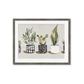 Picture of Plants and Flowers _GroupedProduct_Rectangle_Landscape_Framed_Matted_
