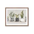 Picture of Plants and Flowers _GroupedProduct_Rectangle_Landscape_Framed_Matted_