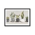 Picture of Plants and Flowers _GroupedProduct_Rectangle_Landscape_Framed_Matted_