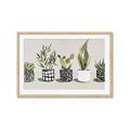 Picture of Plants and Flowers _GroupedProduct_Rectangle_Landscape_Framed_Matted_