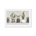 Picture of Plants and Flowers _GroupedProduct_Rectangle_Landscape_Framed_Matted_