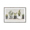 Picture of Plants and Flowers _GroupedProduct_Rectangle_Landscape_Framed_Matted_