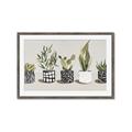 Picture of Plants and Flowers _GroupedProduct_Rectangle_Landscape_Framed_Matted_