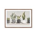 Picture of Plants and Flowers _GroupedProduct_Rectangle_Landscape_Framed_Matted_