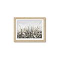 Picture of Spring Garden _GroupedProduct_Rectangle_Landscape_Framed_Matted_