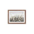 Picture of Spring Garden _GroupedProduct_Rectangle_Landscape_Framed_Matted_