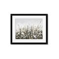 Picture of Spring Garden _GroupedProduct_Rectangle_Landscape_Framed_Matted_