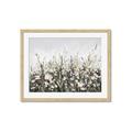 Picture of Spring Garden _GroupedProduct_Rectangle_Landscape_Framed_Matted_