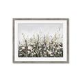 Picture of Spring Garden _GroupedProduct_Rectangle_Landscape_Framed_Matted_