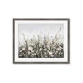 Picture of Spring Garden _GroupedProduct_Rectangle_Landscape_Framed_Matted_