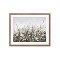 Picture of Spring Garden _GroupedProduct_Rectangle_Landscape_Framed_Matted_