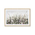 Picture of Spring Garden _GroupedProduct_Rectangle_Landscape_Framed_Matted_
